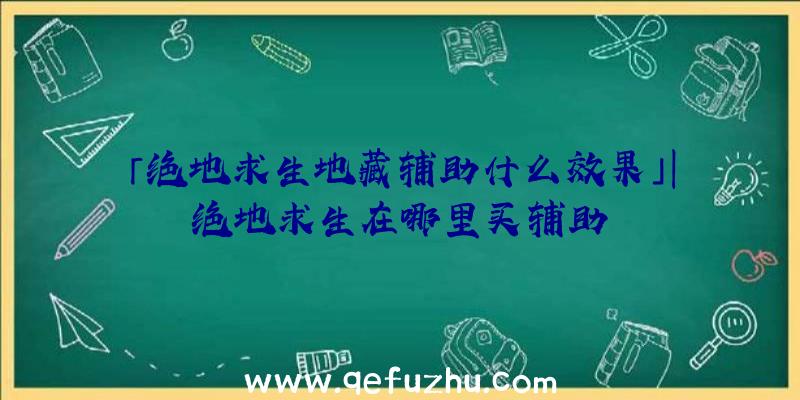 「绝地求生地藏辅助什么效果」|绝地求生在哪里买辅助